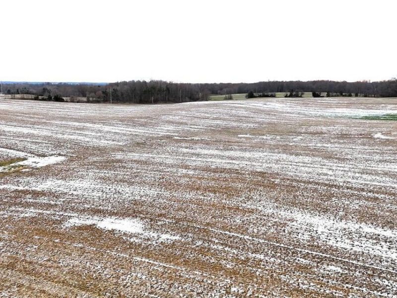 0 County Road 98 , Mount Gilead, OH 43338 Photo 5