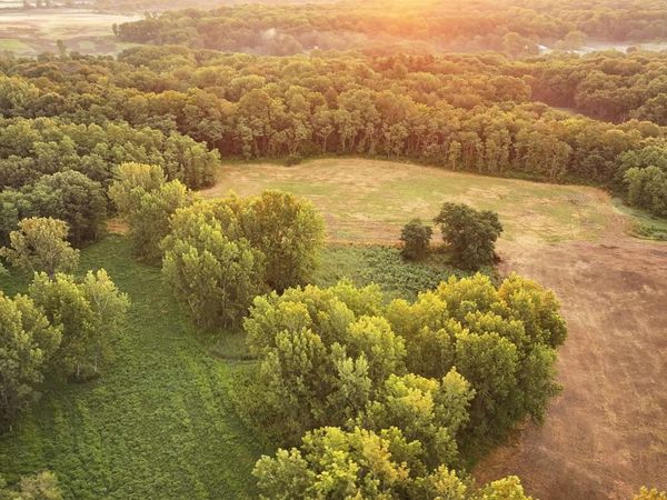 000 SHERWOOD Road, Dahinda, IL 61428