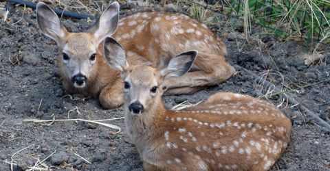 23944 Oakmont Way, Auburn, CA 95602 Photo