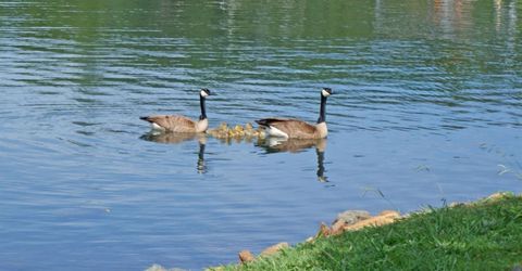 23944 Oakmont Way, Auburn, CA 95602 Photo