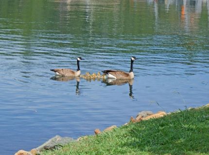 23944 Oakmont Way, Auburn, CA 95602 Photo