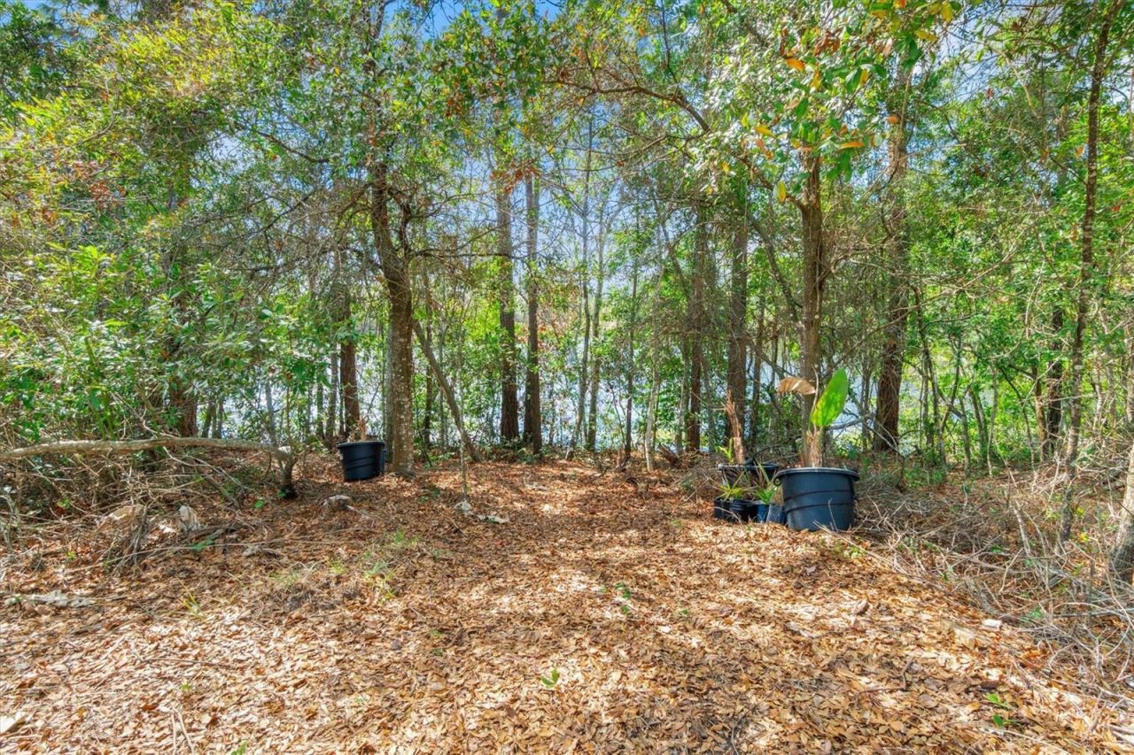 13 Willow Street , Palm Coast, FL 32164 Photo