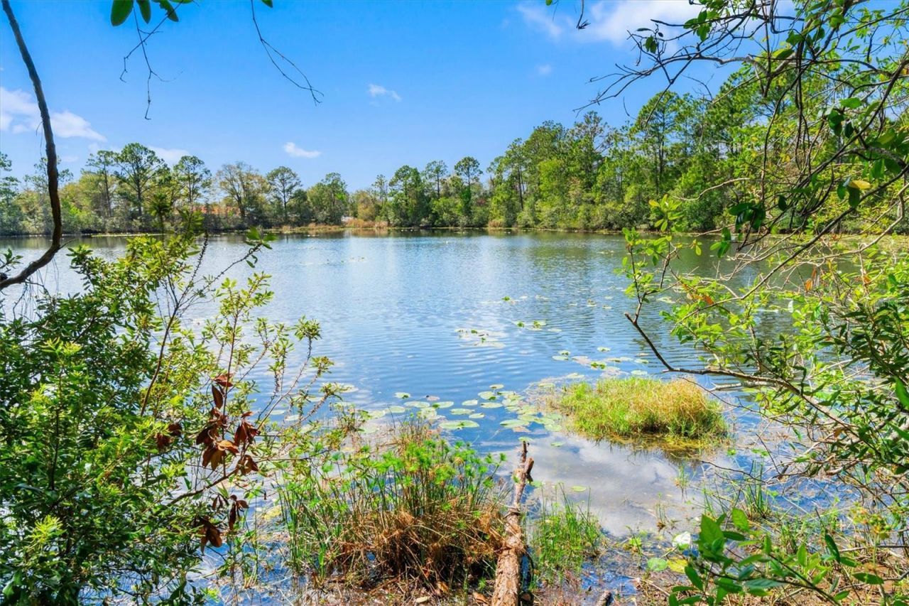 13 Willow Street , Palm Coast, FL 32164 Photo