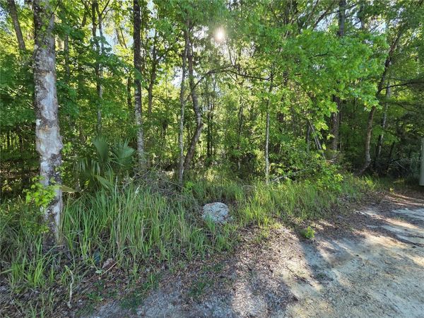 0000 SE 42ND COURT , BELLEVIEW, FL 34420