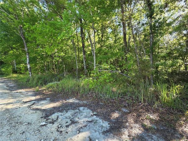 0000 SE 42ND COURT, BELLEVIEW, FL 34420