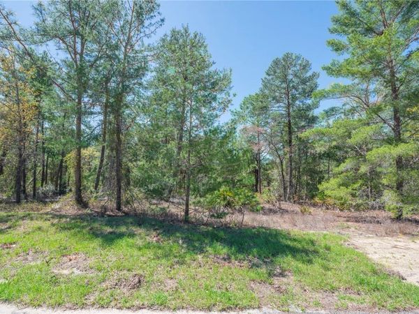 6 HEUCHERA COURT E, HOMOSASSA, FL 34446