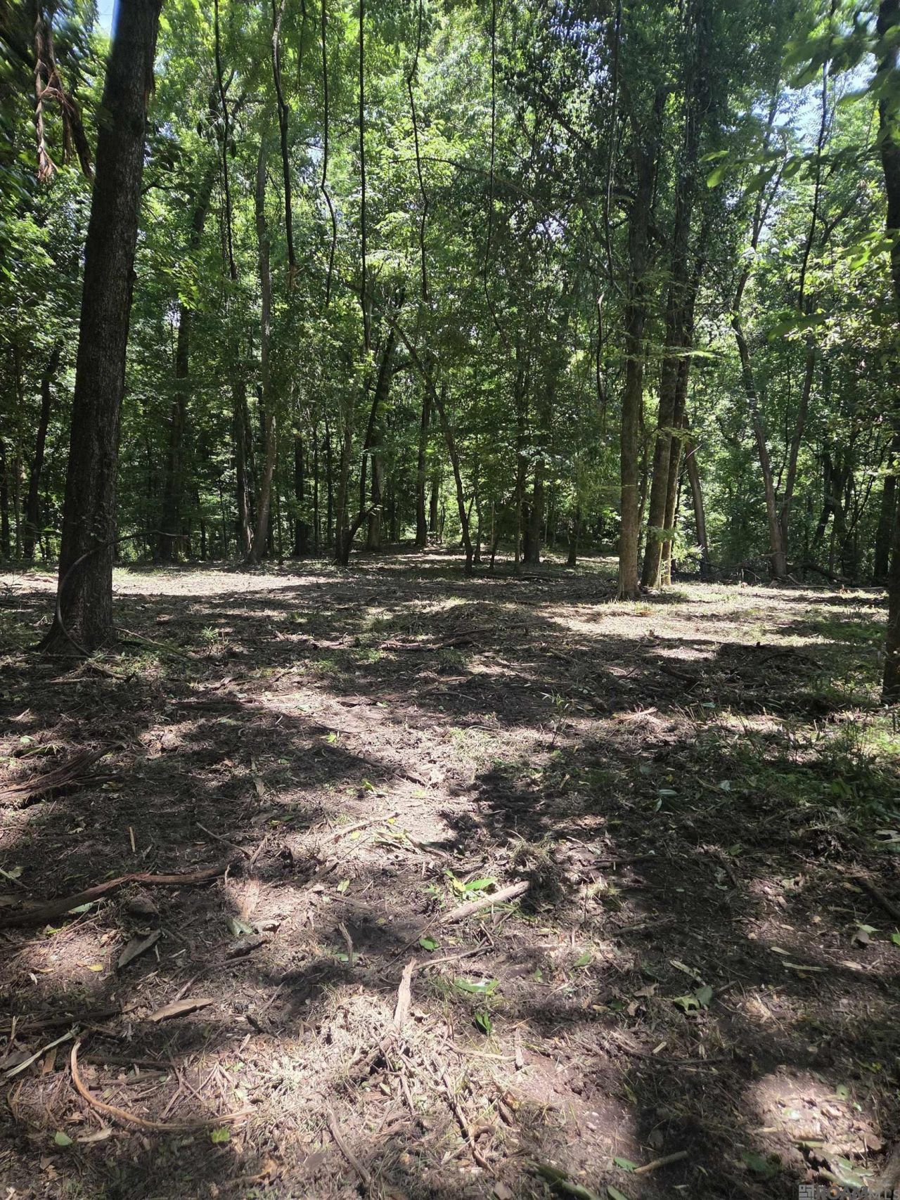 Tbd Ouida Irondale Rd, Saint Francisville, LA 70775 Main Photo