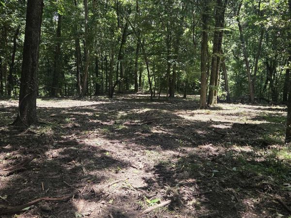 TBD Ouida Irondale Rd, St Francisville, LA 70775