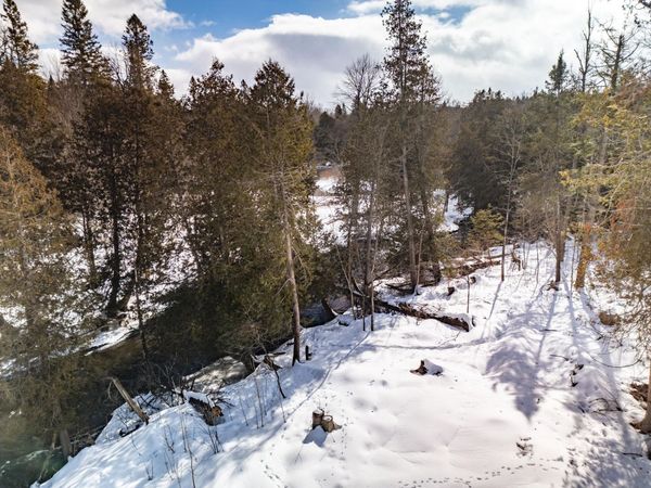 8993 S Straits Highway, Wolverine, MI 49799