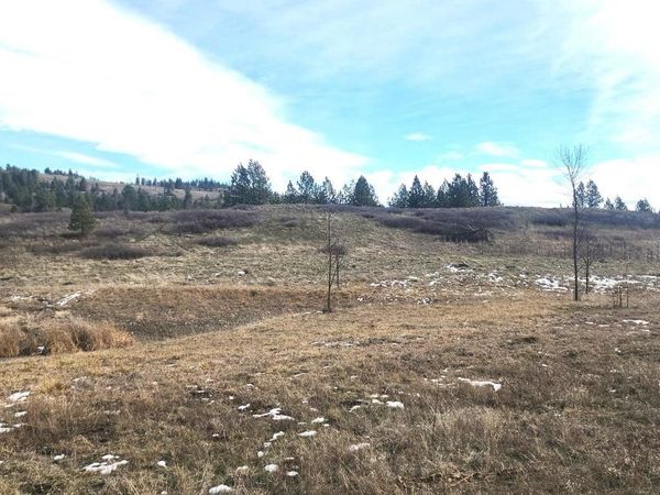 3390 F&G Spirit Ridge Way, Rice, WA 99167