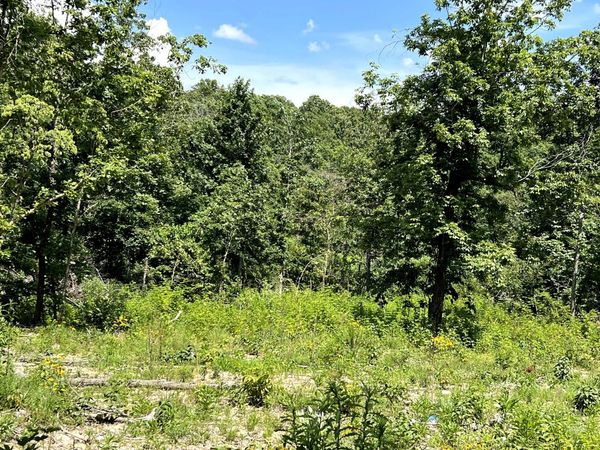 Lot 45 Private Road Ridge Haven , Mammoth Spring, AR 72554