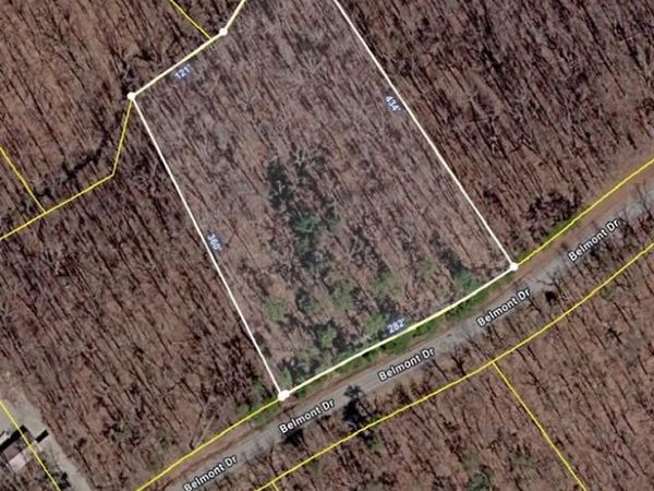 000 Belmont Dr, Monterey, TN 38574