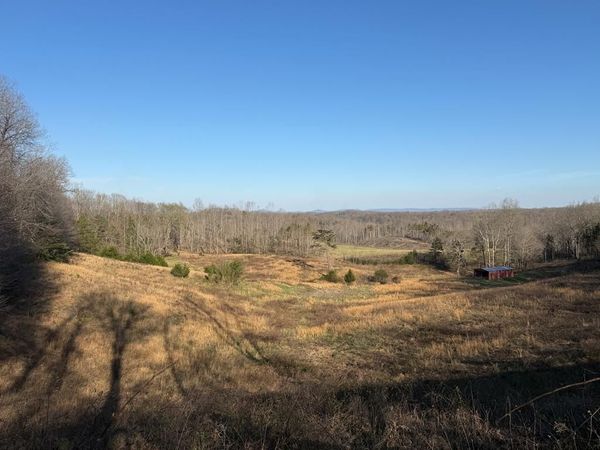 10 acres Bob Dennings Rd, Allons, TN 38541