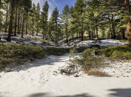 20102 Hibbet Trail, Reno, NV 89511 Photo
