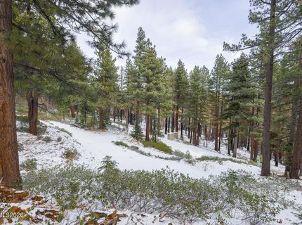 20102 Hibbet Trail, Reno, NV 89511 Photo