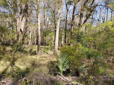 Lot 2 & 3 Gator Cv, Ridgeville, SC 29472