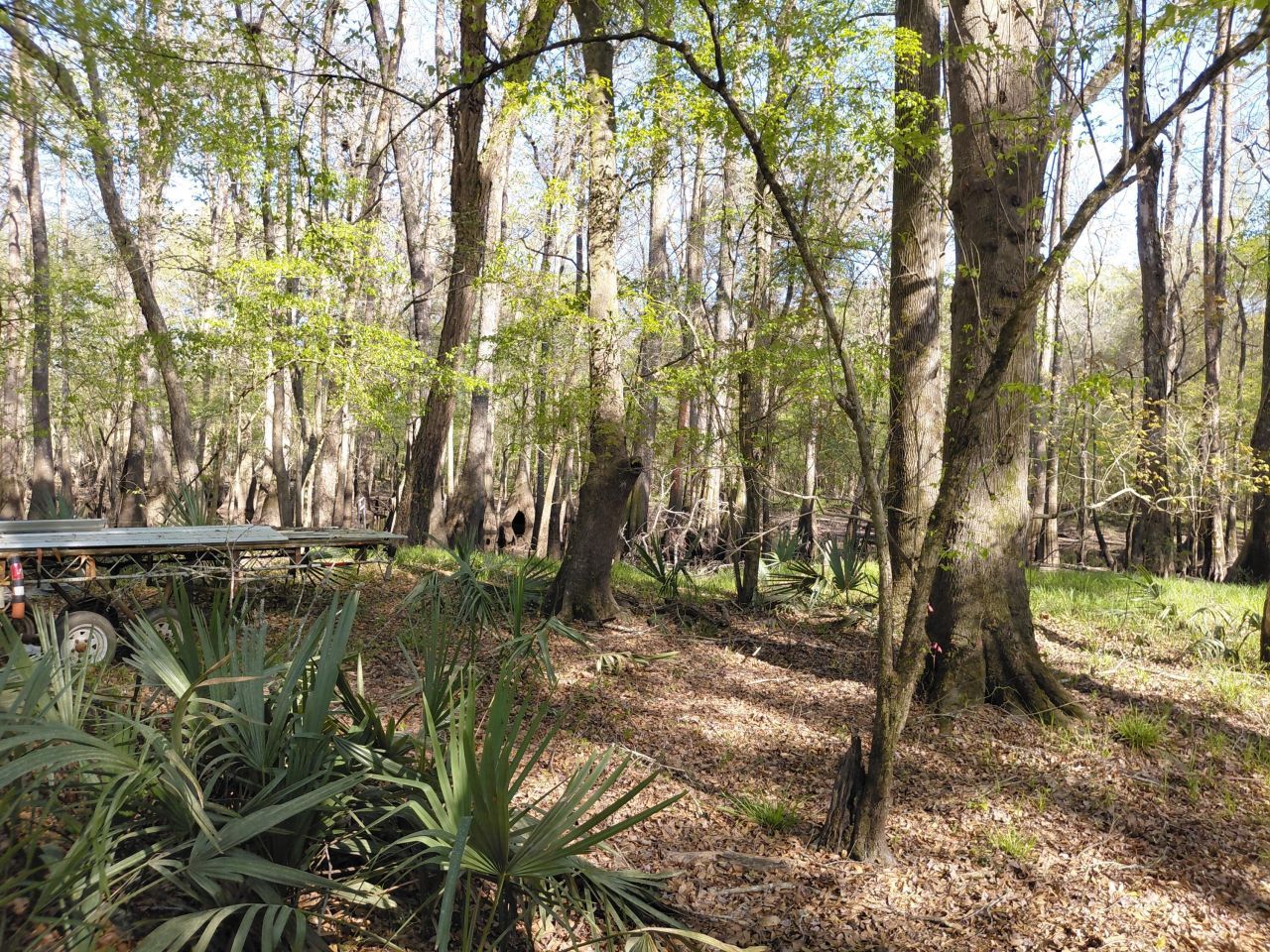 Lot 2 & 3 Gator Cv Photo 4