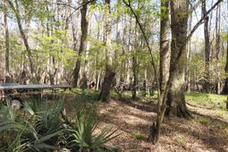 Lot 2 & 3 Gator Cv photo 4