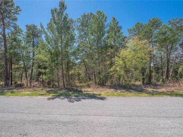 8 HEUCHERA COURT E, HOMOSASSA, FL 34446