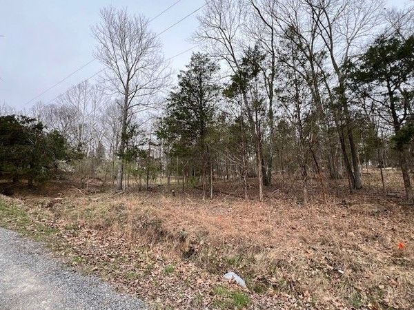 Lot 1234 Indian Camp Drive , Goreville, IL 62939