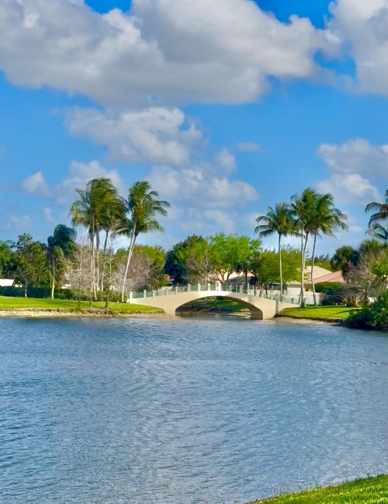 8233 Cozumel Lane, Wellington, FL 33414 Photo