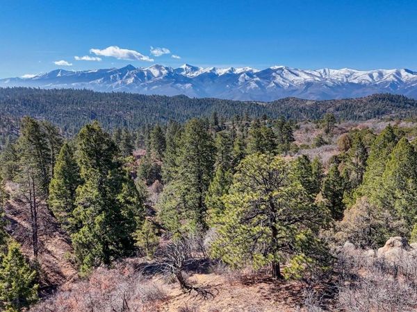 268 Basin Drive, Cotopaxi, CO 81223