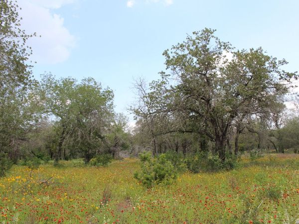 24222 Mathis, Elmendorf, TX 78112