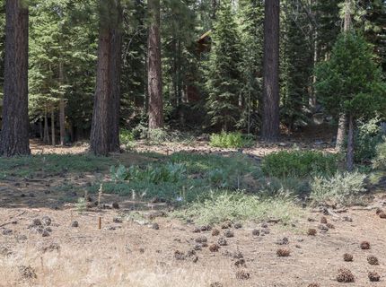 8185 Dolly Varden Avenue, Kings Beach, CA 96143 Photo