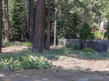 8185 Dolly Varden Avenue, Kings Beach, CA 96143 Photo