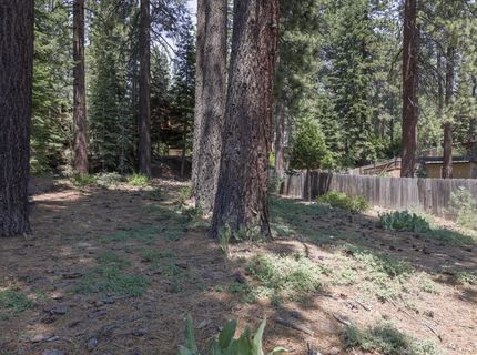 8185 Dolly Varden Avenue, Kings Beach, CA 96143 Photo