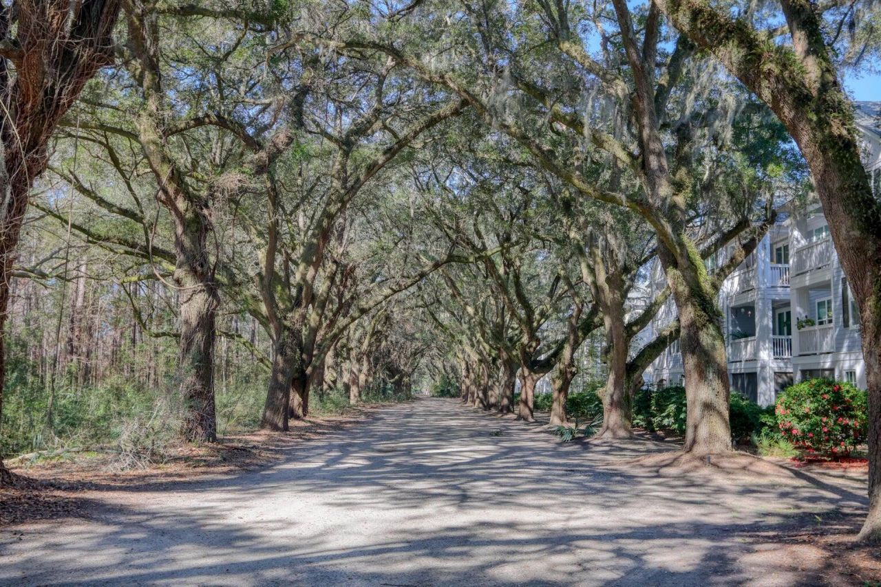 60 Fenwick Hall Allee Alley Photo 27