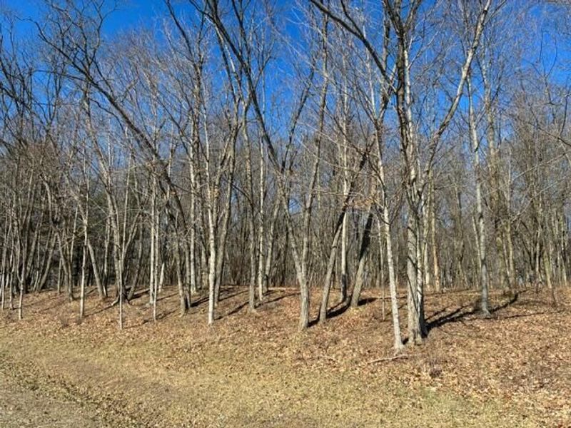 7326 State Route 19 , Unit Unit 7, Lo, Mount Gilead, OH 43338 Photo 3