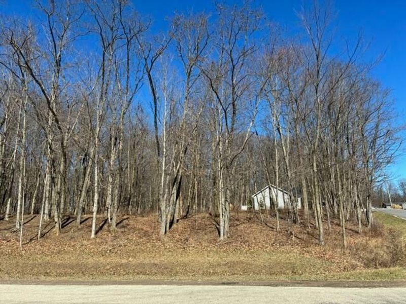 7326 State Route 19 , Unit Unit 7, Lo, Mount Gilead, OH 43338 Photo 5