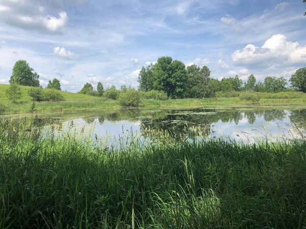 TBD Dixon Line Rd , Finlayson, MN 55735