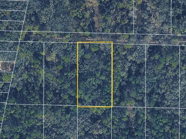 PINON DRIVE , WEBSTER, FL 33597