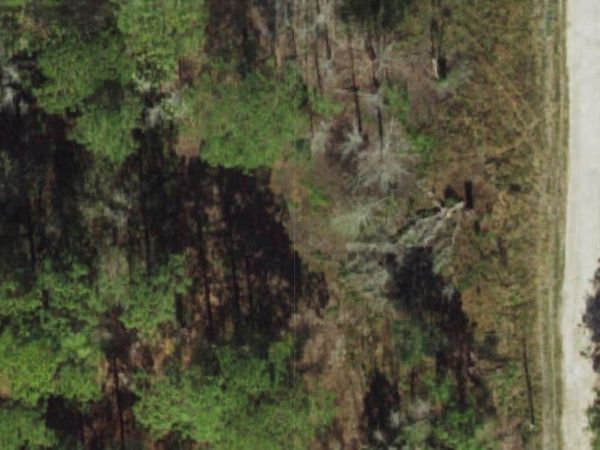 POWELL STREET , NEW PORT RICHEY, FL 34654