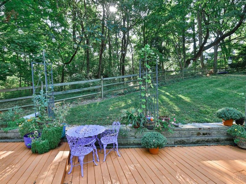 1012 Mary Lane, Cincinnati, OH 45215 Photo 39