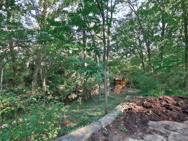 1012 Mary Lane, Cincinnati, OH 45215 Photo 40