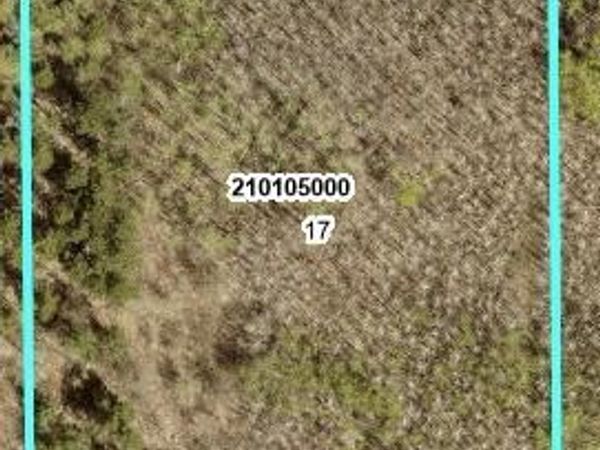 TBD 10 Bog Lake Trail, Osage, MN 56570