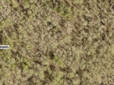 TBD 8 Bog Lake Trail, Osage, MN 56570