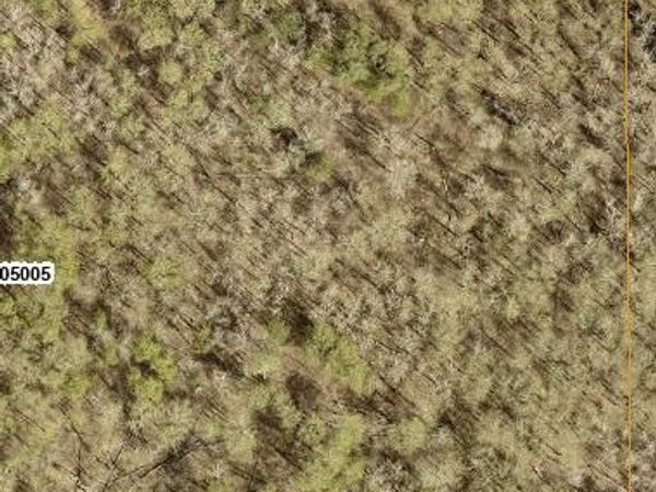 TBD 8 Bog Lake Trail, Osage, MN 56570