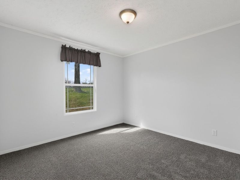 178 Bethel Lane, Butler, KY 41006 Photo 20