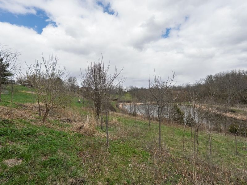 178 Bethel Lane, Butler, KY 41006 Photo 27