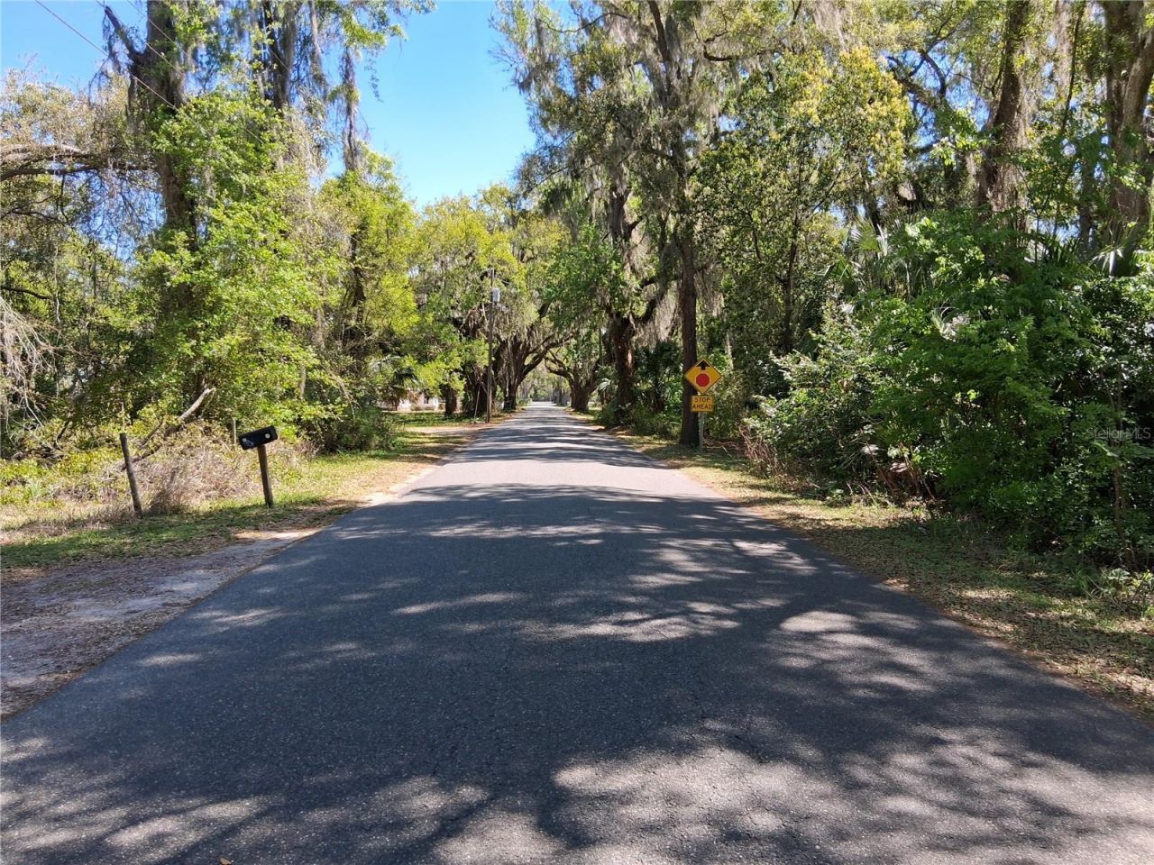 10th Street, Webster, FL 33597 Photo