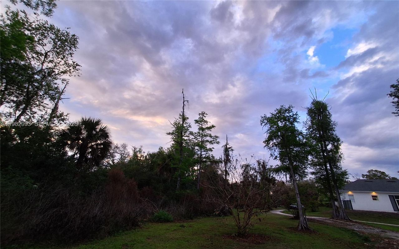 3646 28th Ave Se, Naples, FL 34117 Photo