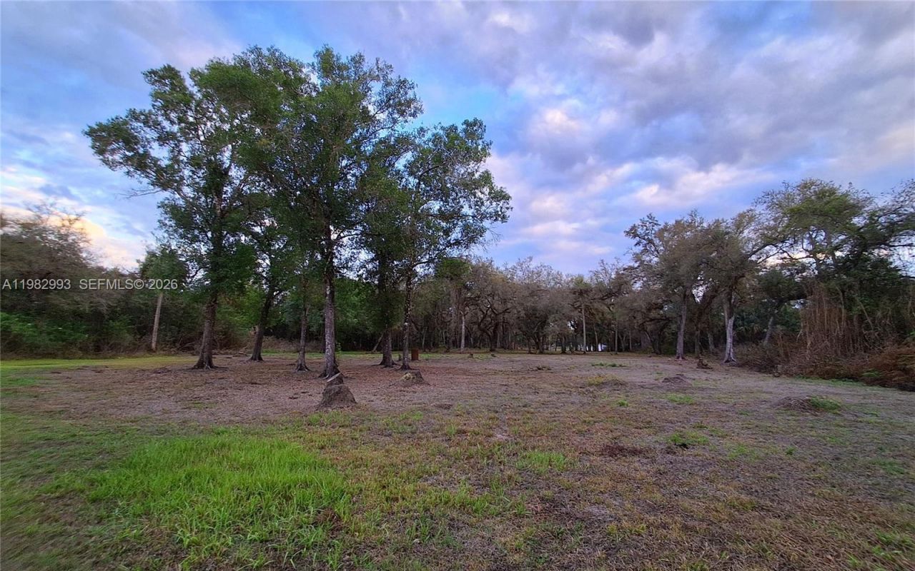 3646 28th Ave Se, Naples, FL 34117 Photo
