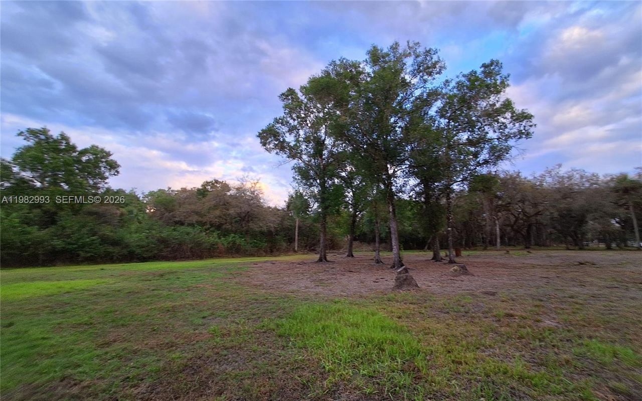3646 28th Ave Se, Naples, FL 34117 Photo