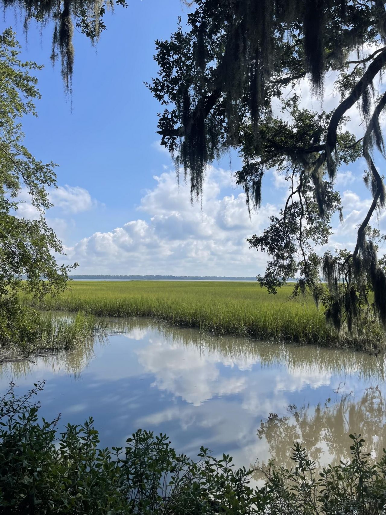 7950 Hopkins Pl Drive Photo 10