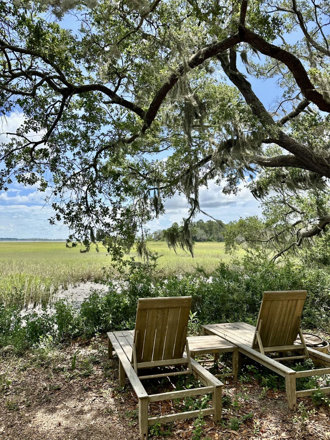 7950 Hopkins Pl Drive Photo 11