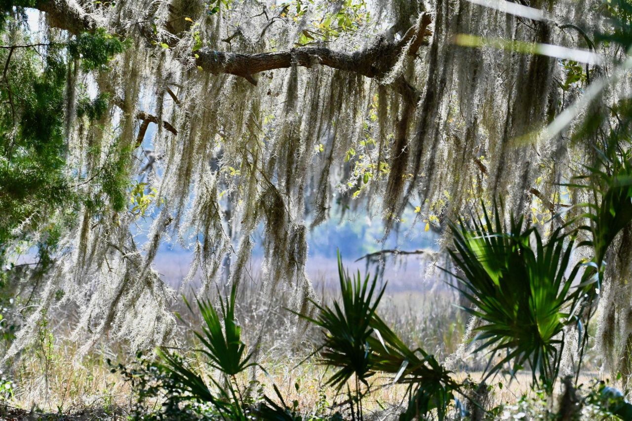 7950 Hopkins Pl Drive Photo 14